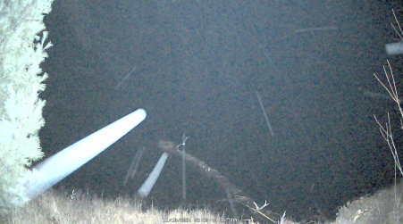 Image from 2024-11-10