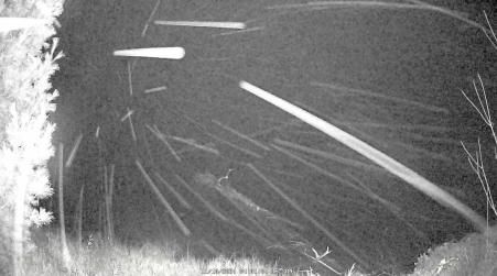 Image from 2024-11-10