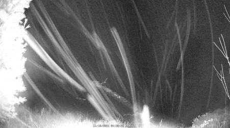 Image from 2024-11-10