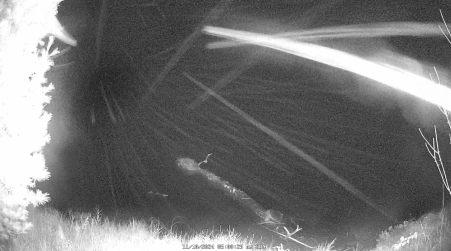 Image from 2024-11-10