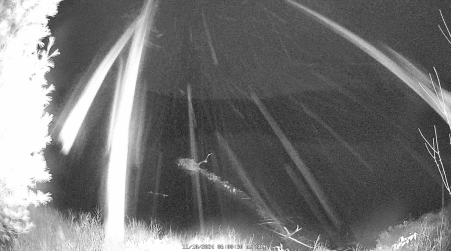 Image from 2024-11-10