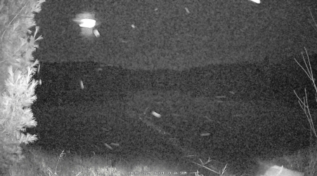 Image from 2024-11-10