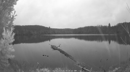 Image from 2024-11-10