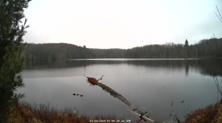 Image from 2024-11-10