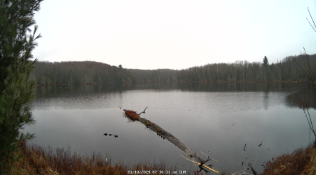 Image from 2024-11-10