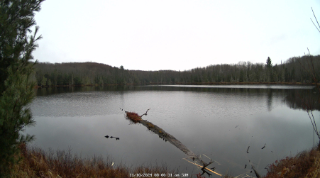 Image from 2024-11-10