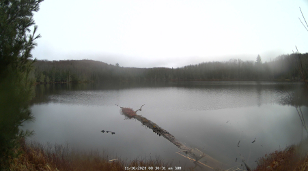 Image from 2024-11-10