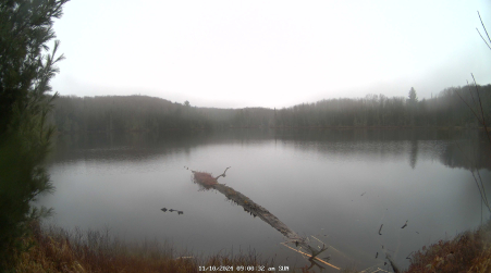 Image from 2024-11-10