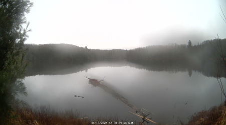 Image from 2024-11-10