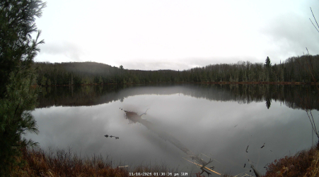 Image from 2024-11-10