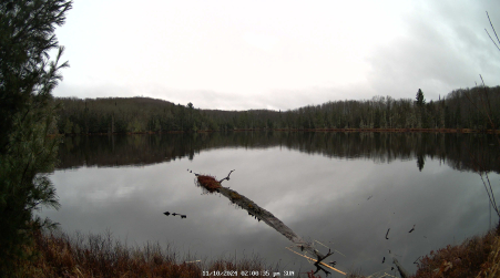 Image from 2024-11-10