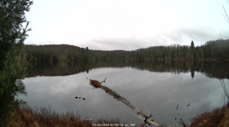 Image from 2024-11-10