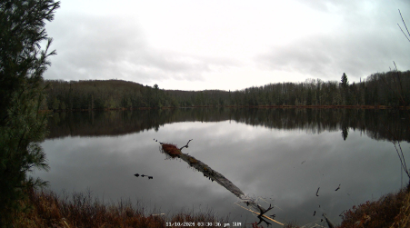 Image from 2024-11-10