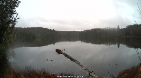 Image from 2024-11-10