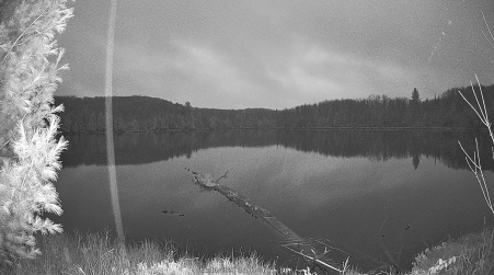 Image from 2024-11-10