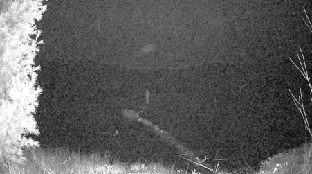 Image from 2024-11-10