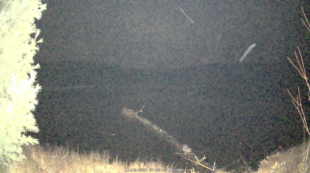 Image from 2024-11-10