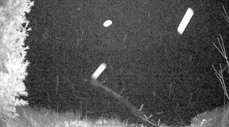 Image from 2024-11-10