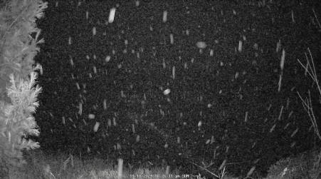 Image from 2024-11-10