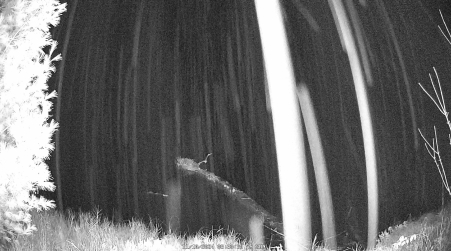 Image from 2024-11-10