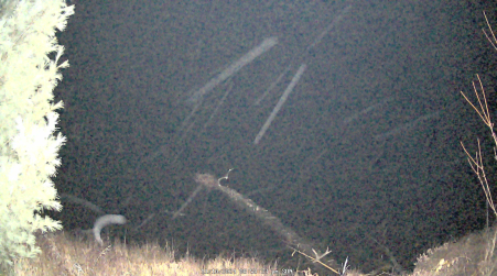 Image from 2024-11-10