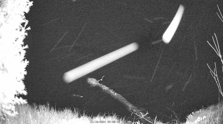 Image from 2024-11-10