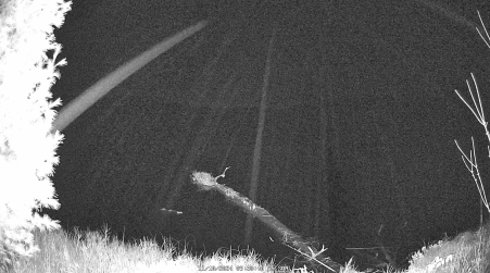Image from 2024-11-10