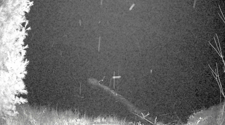 Image from 2024-11-10