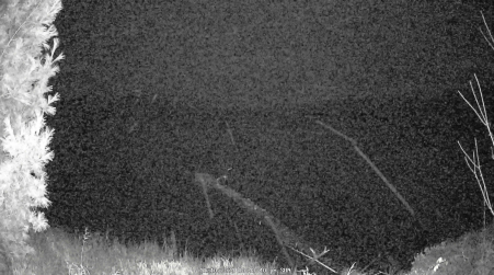 Image from 2024-11-10