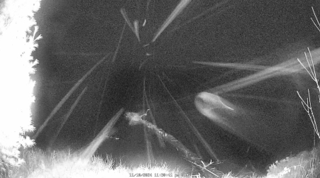 Image from 2024-11-10