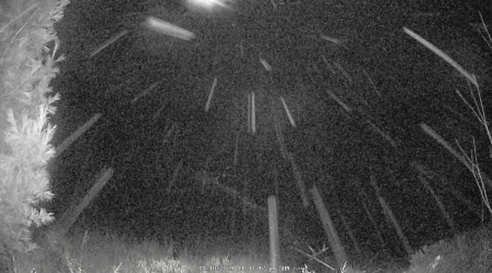 Image from 2024-11-10