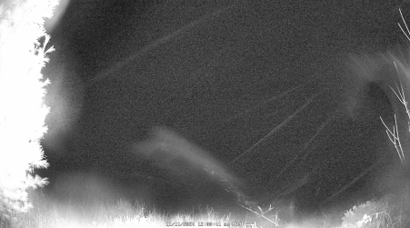 Image from 2024-11-11