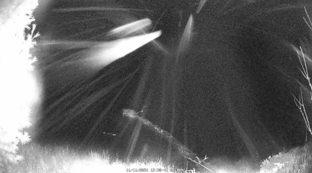 Image from 2024-11-11