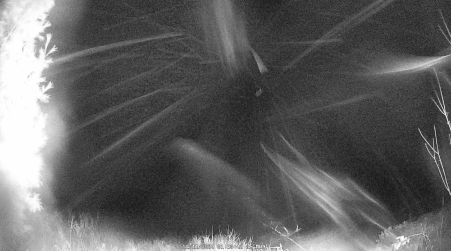Image from 2024-11-11
