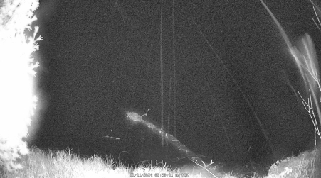 Image from 2024-11-11