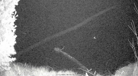 Image from 2024-11-11