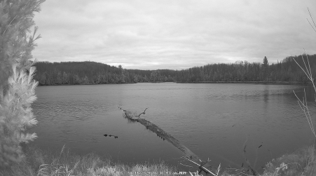 Image from 2024-11-11