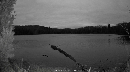 Image from 2024-11-11