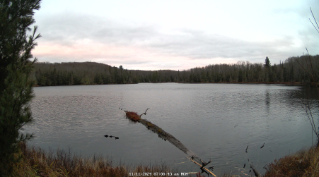 Image from 2024-11-11