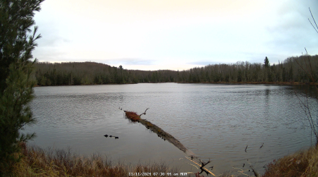 Image from 2024-11-11