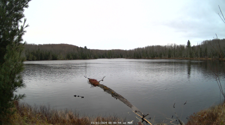 Image from 2024-11-11