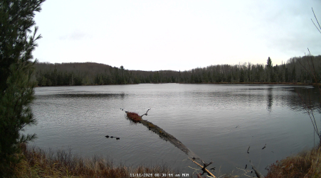 Image from 2024-11-11