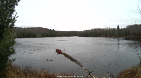 Image from 2024-11-11