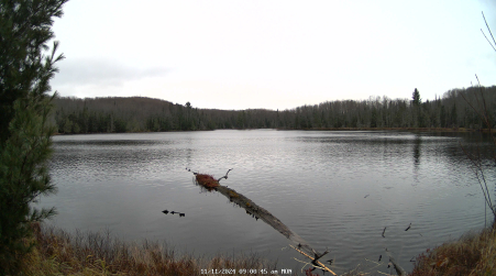 Image from 2024-11-11