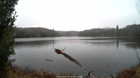 Image from 2024-11-11