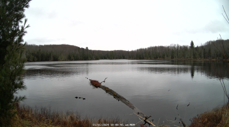 Image from 2024-11-11