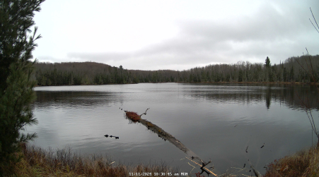 Image from 2024-11-11
