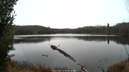 Image from 2024-11-11