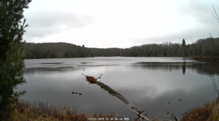 Image from 2024-11-11