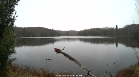 Image from 2024-11-11